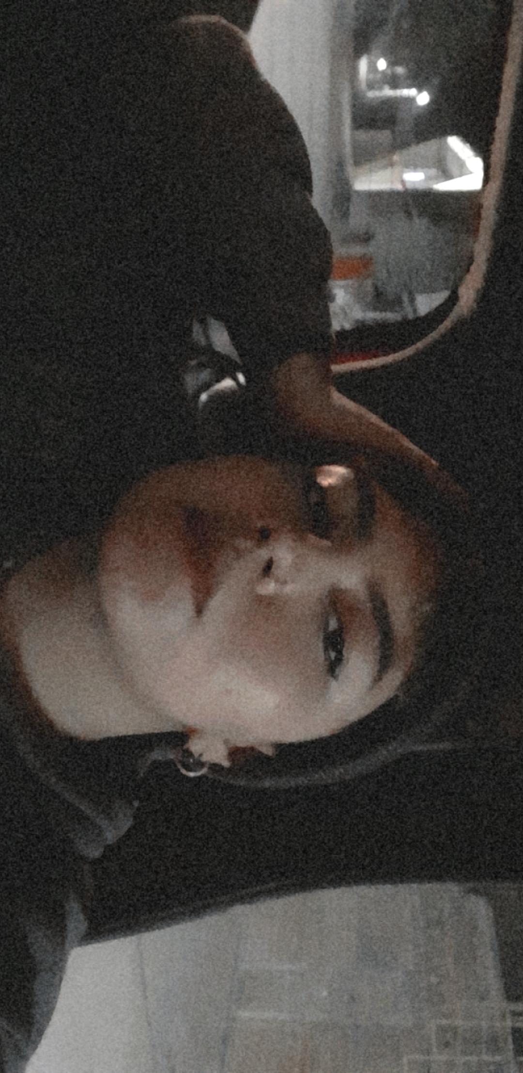 Foto de Karla Gabriela