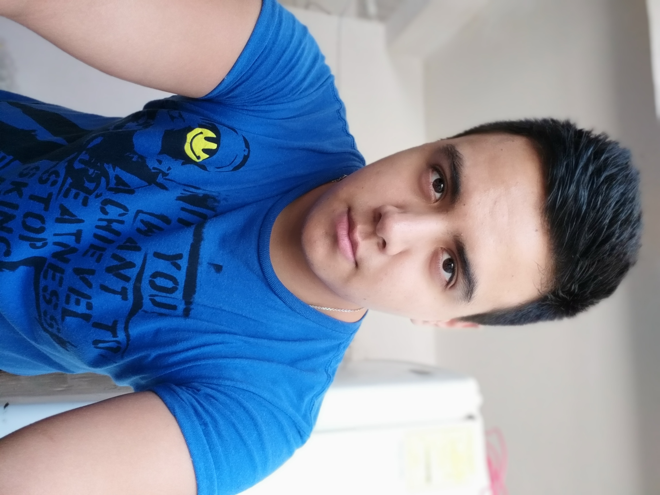 Foto de Galo