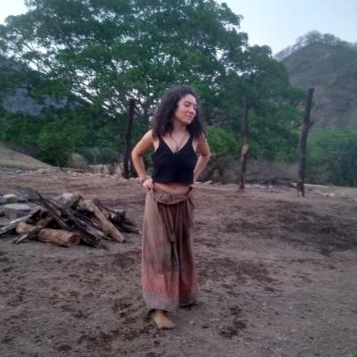 Foto de Arana