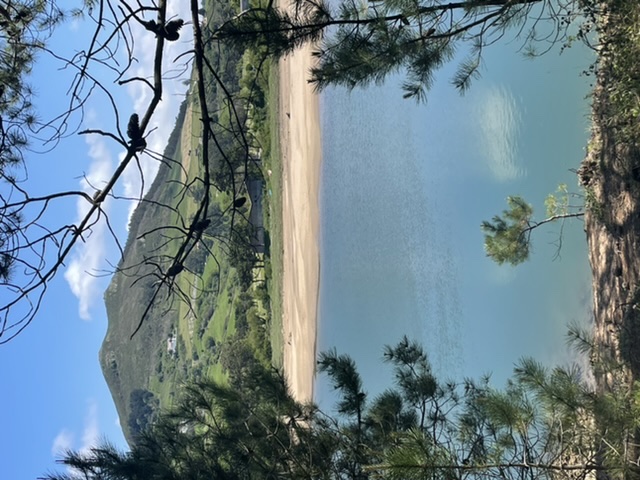 Foto de Roberto