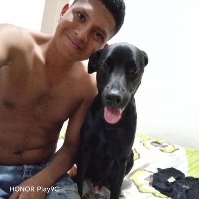 Bayron
