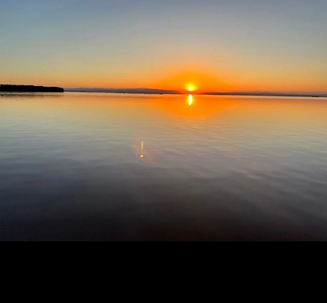 Visita guiada al parque natural de la Albufera