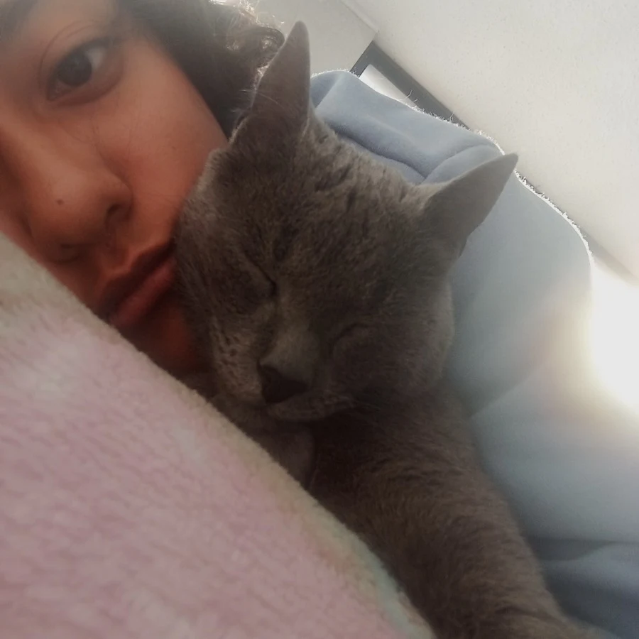 Foto de Meli